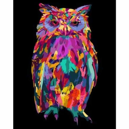 Color Animal Owl Diy Paint By Numbers Kits ZXQ2573 - NEEDLEWORK KITS