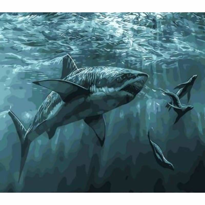 Diy Paint By Numbers Kits ZXQ250-16 - NEEDLEWORK KITS