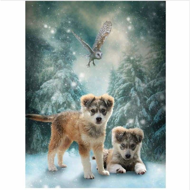 Dog Diy Paint By Numbers Kits VM54142 - NEEDLEWORK KITS