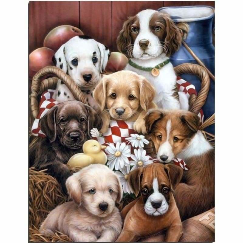 Dog Diy Paint By Numbers Kits VM94020 - NEEDLEWORK KITS