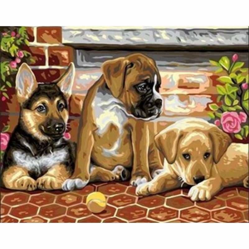 Dog Diy Paint By Numbers Kits ZXQ2211 - NEEDLEWORK KITS