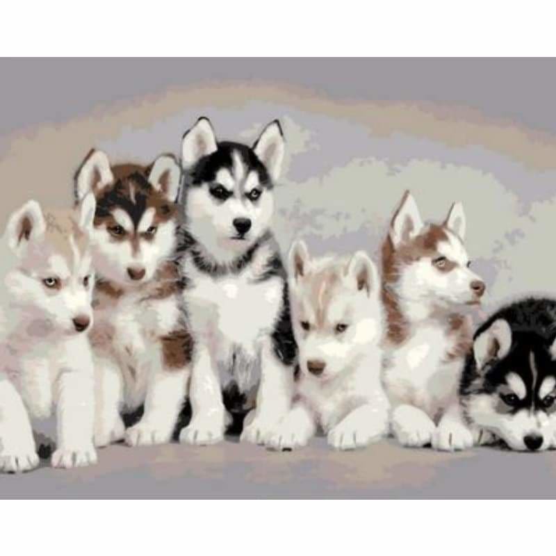 Dog Diy Paint By Numbers Kits ZXQ811 - NEEDLEWORK KITS