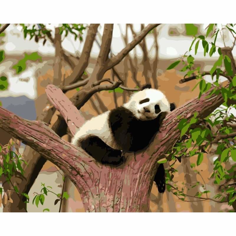 Lovely Panda Diy Paint By Numbers Kits WM-753 - NEEDLEWORK KITS