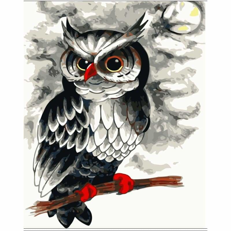 Owl Diy Paint By Numbers Kits WM-373 - NEEDLEWORK KITS