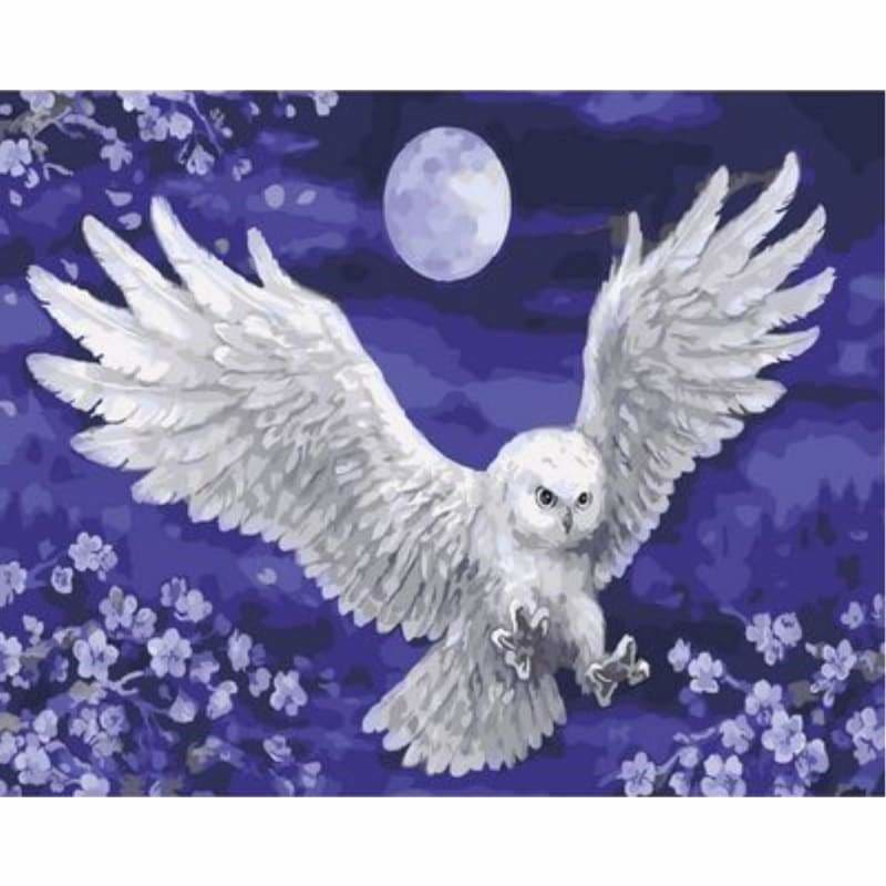 Owl Diy Paint By Numbers Kits ZXQ2110 - NEEDLEWORK KITS