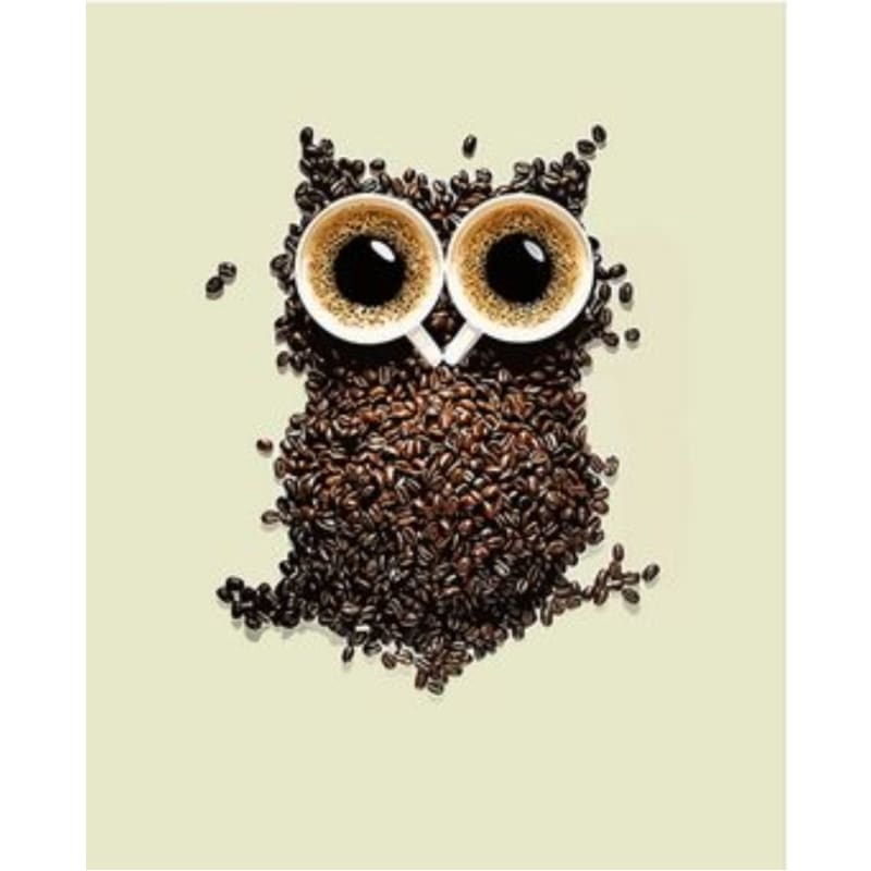 Owl Diy Paint By Numbers Kits ZXQ2794 - NEEDLEWORK KITS