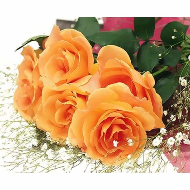 Plant Rose Diy Paint By Numbers Kits ZXQ3239 - NEEDLEWORK KITS