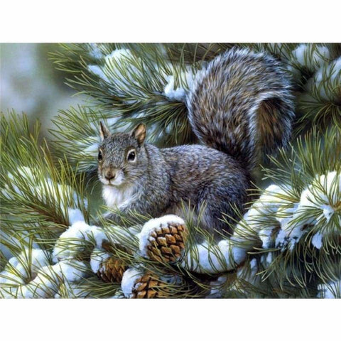 Squirrel Diy Paint by Numbers Kits DIY PBN30097 - NEEDLEWORK KITS