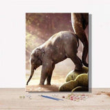 Animal Elephant Diy Paint By Numbers Kits VM92287 - NEEDLEWORK KITS