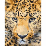 Animal Leopard Diy Paint By Numbers Kits ZXQ1995 - NEEDLEWORK KITS