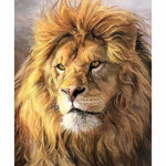 Animal Lion Diy Paint By Numbers Kits Uk ZXQ3287 VM80043 - NEEDLEWORK KITS