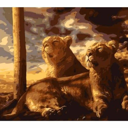 Animal Lion Diy Paint By Numbers Kits ZXQ179 - NEEDLEWORK KITS