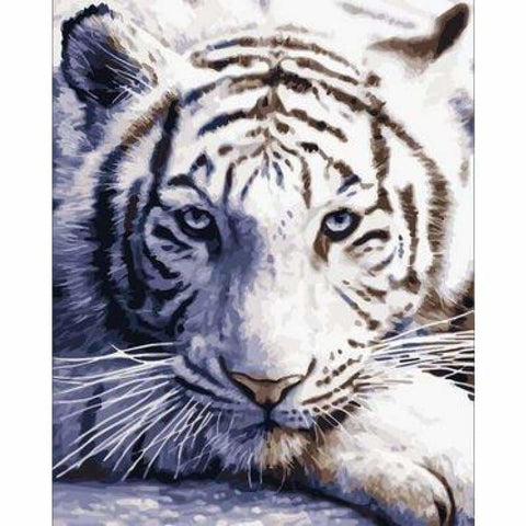 Animal Tiger Diy Paint By Numbers Kits ZXE306 VM80019 - NEEDLEWORK KITS