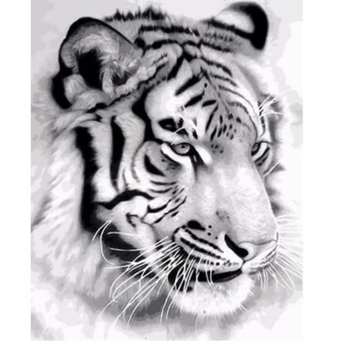 Animal Tiger Diy Paint By Numbers Kits ZXQ1789 - NEEDLEWORK KITS