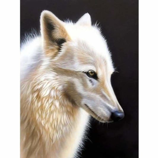 Animal Wolf Diy Paint By Numbers Kits VM91754 - NEEDLEWORK KITS