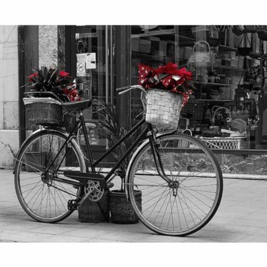 Bicycle Diy Paint By Numbers Kits ZXQ3443 - NEEDLEWORK KITS