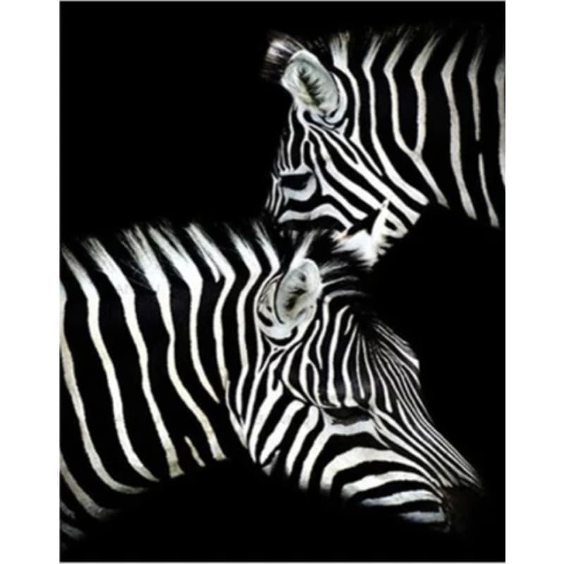 Black And White Diy Paint By Numbers Kits PBN95960 - NEEDLEWORK KITS