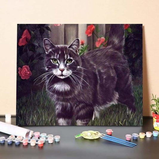 Black Cat – Paint By Numbers Kit
