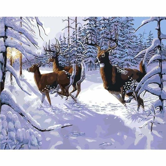 Deer Diy Paint By Numbers Kits PBN95726 - NEEDLEWORK KITS