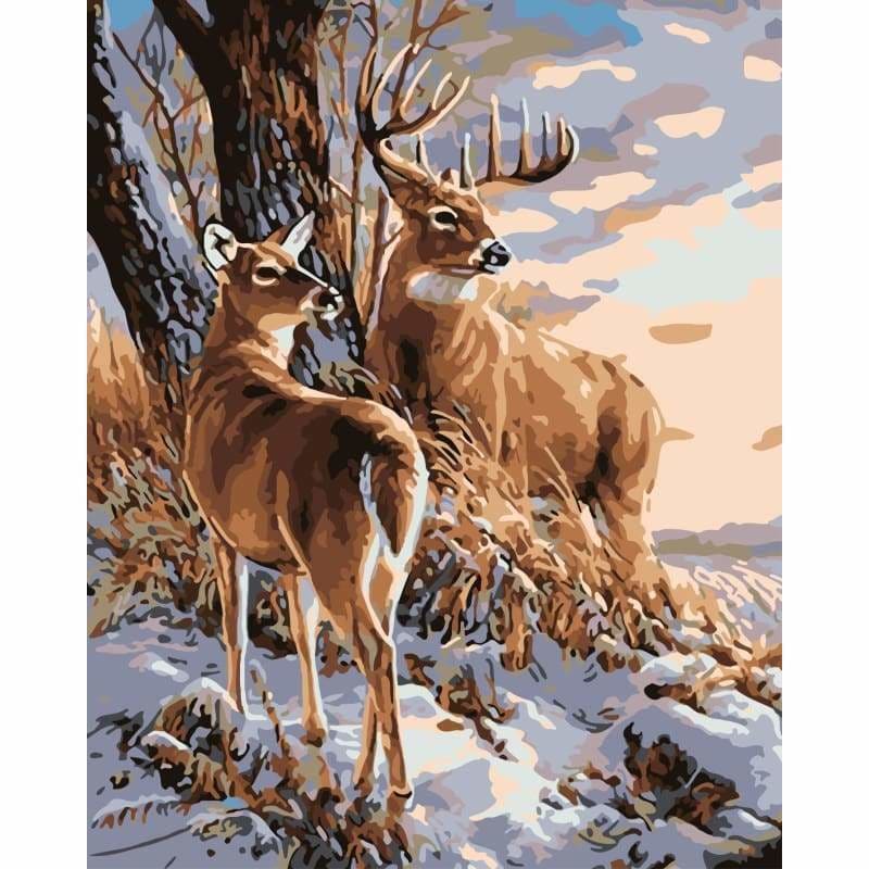 Deer Diy Paint By Numbers Kits WM-246 - NEEDLEWORK KITS