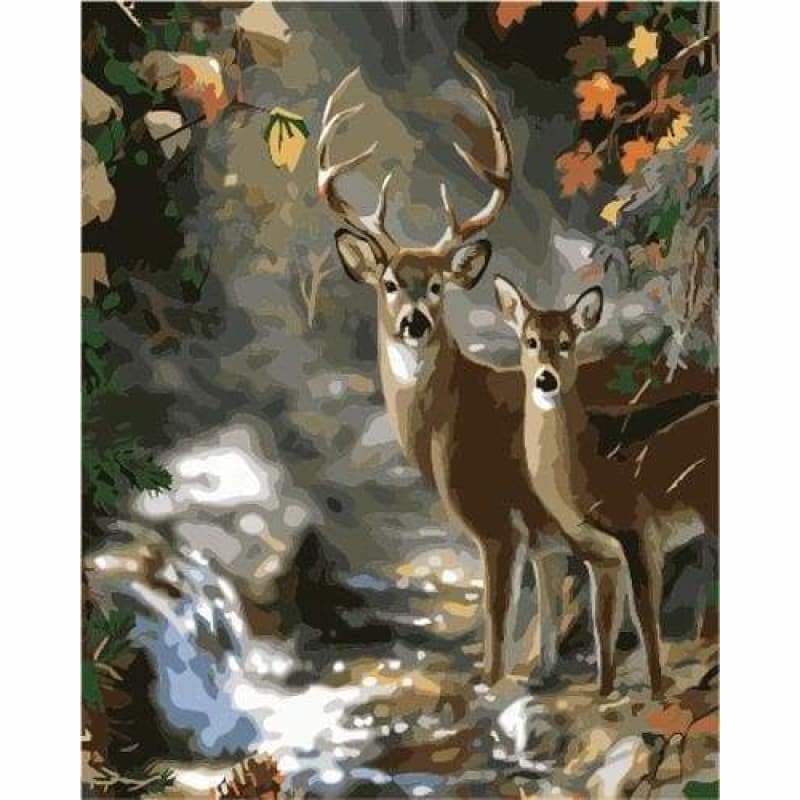 Deer Diy Paint By Numbers Kits ZXB852 - NEEDLEWORK KITS