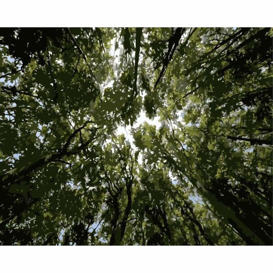 Diy Paint By Numbers Kits WM-1557 - NEEDLEWORK KITS