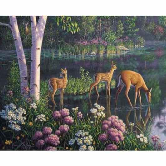 Diy Paint By Numbers Kits ZXQ2868 - NEEDLEWORK KITS