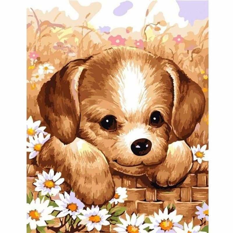 Dog Diy Paint By Numbers Kits PBN52402 - NEEDLEWORK KITS