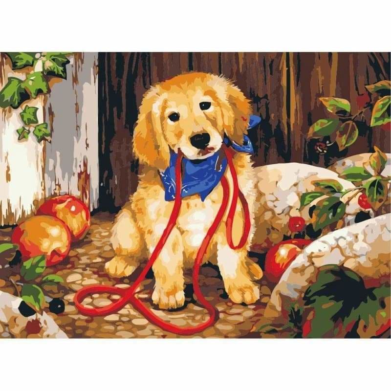 Dog Diy Paint By Numbers Kits PBN54159 - NEEDLEWORK KITS
