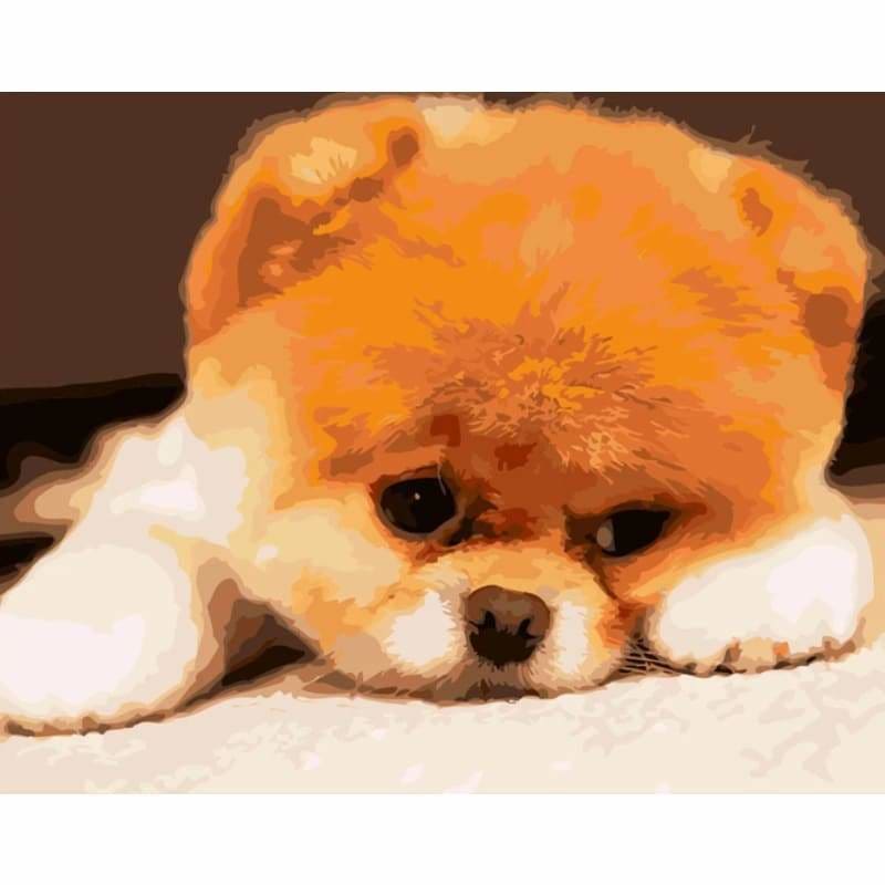 Dog Diy Paint By Numbers Kits PBN55955 - NEEDLEWORK KITS