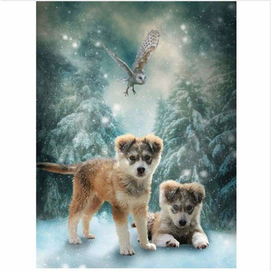 Dog Diy Paint By Numbers Kits VM54142 - NEEDLEWORK KITS