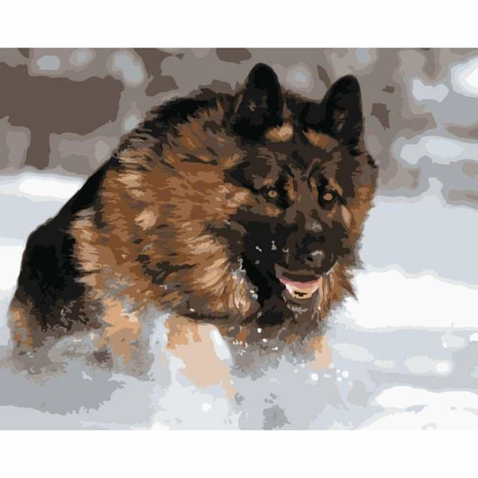 Dog Diy Paint By Numbers Kits WM-1440 - NEEDLEWORK KITS