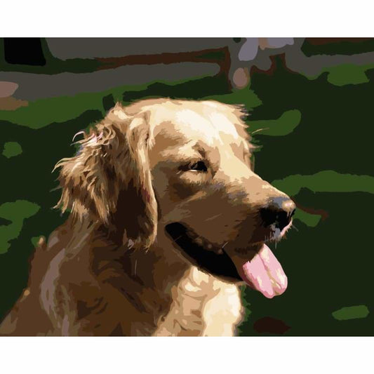 Dog Diy Paint By Numbers Kits WM-860 - NEEDLEWORK KITS