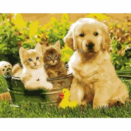 Dog Diy Paint By Numbers Kits ZXQ1522 - NEEDLEWORK KITS