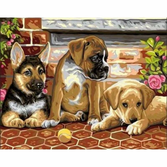 Dog Diy Paint By Numbers Kits ZXQ2211 - NEEDLEWORK KITS