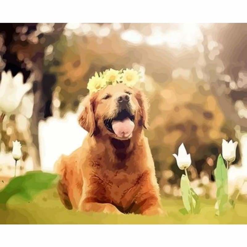 Dog Diy Paint By Numbers Kits ZXQ3537 - NEEDLEWORK KITS