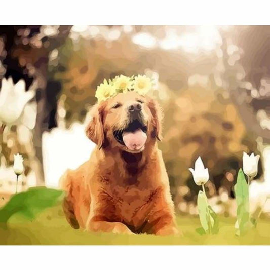 Dog Diy Paint By Numbers Kits ZXQ3537 - NEEDLEWORK KITS