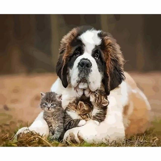 Dog Diy Paint By Numbers Kits ZXQ3663 - NEEDLEWORK KITS