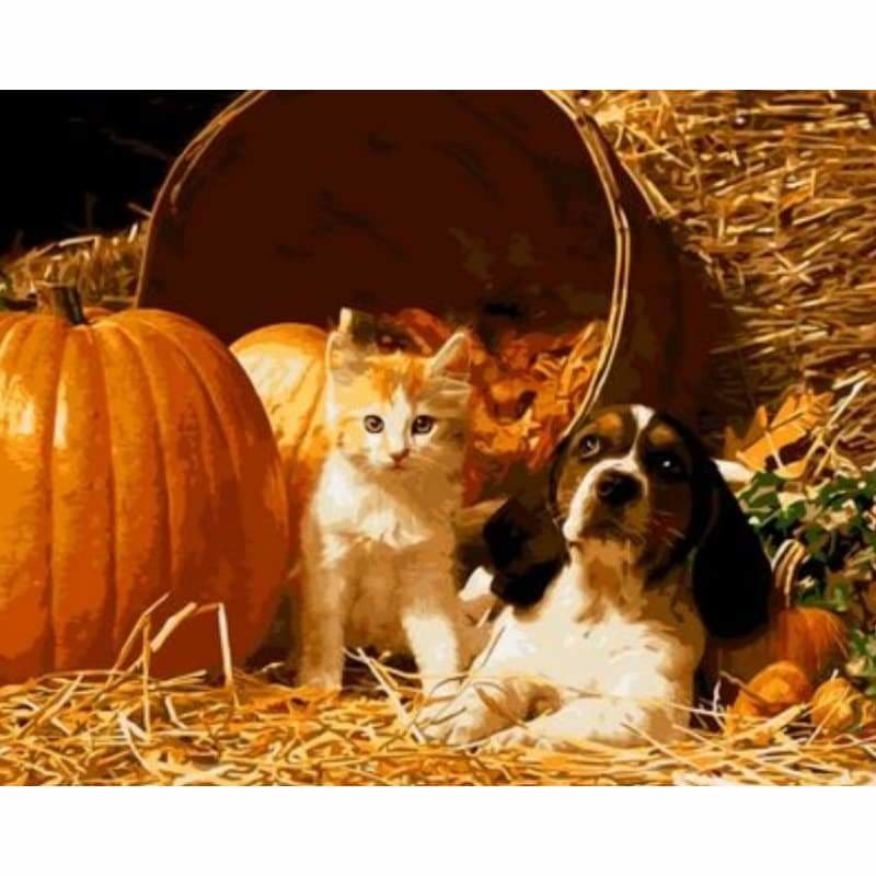 Dog Diy Paint By Numbers Kits ZXQ655 - NEEDLEWORK KITS