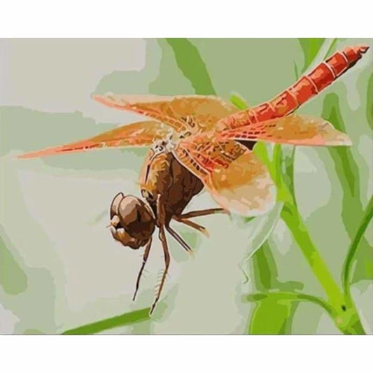 Dragonfly Diy Paint By Numbers Kits PBN30239 - NEEDLEWORK KITS
