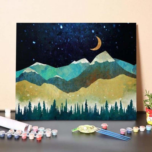 ferdasecPaint By Numbers Kit – Snowy Night