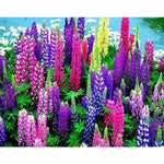 Flower Diy Paint By Numbers Kits ZXQ3713 - NEEDLEWORK KITS