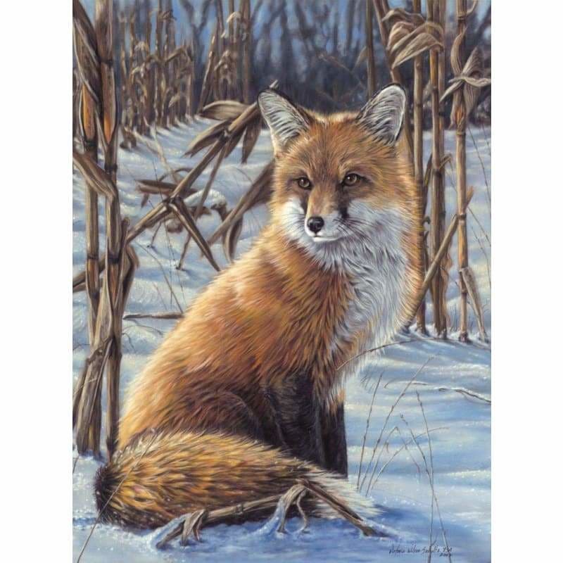 Fox Diy Paint By Numbers Kits VM95827 - NEEDLEWORK KITS