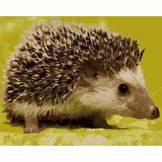 Hedgehog Diy Paint By Numbers Kits ZXB786 - NEEDLEWORK KITS