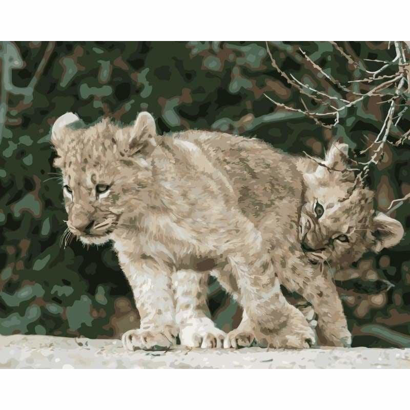 Leopard Diy Paint By Numbers Kits WM-1067 - NEEDLEWORK KITS