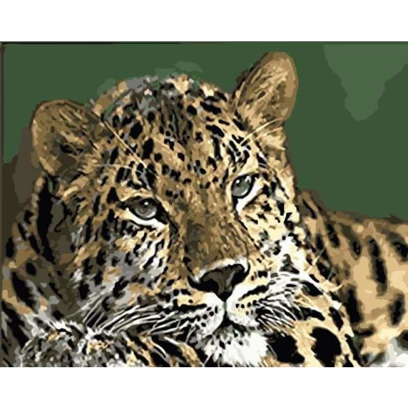 Leopard Diy Paint By Numbers Kits WM-1471 - NEEDLEWORK KITS