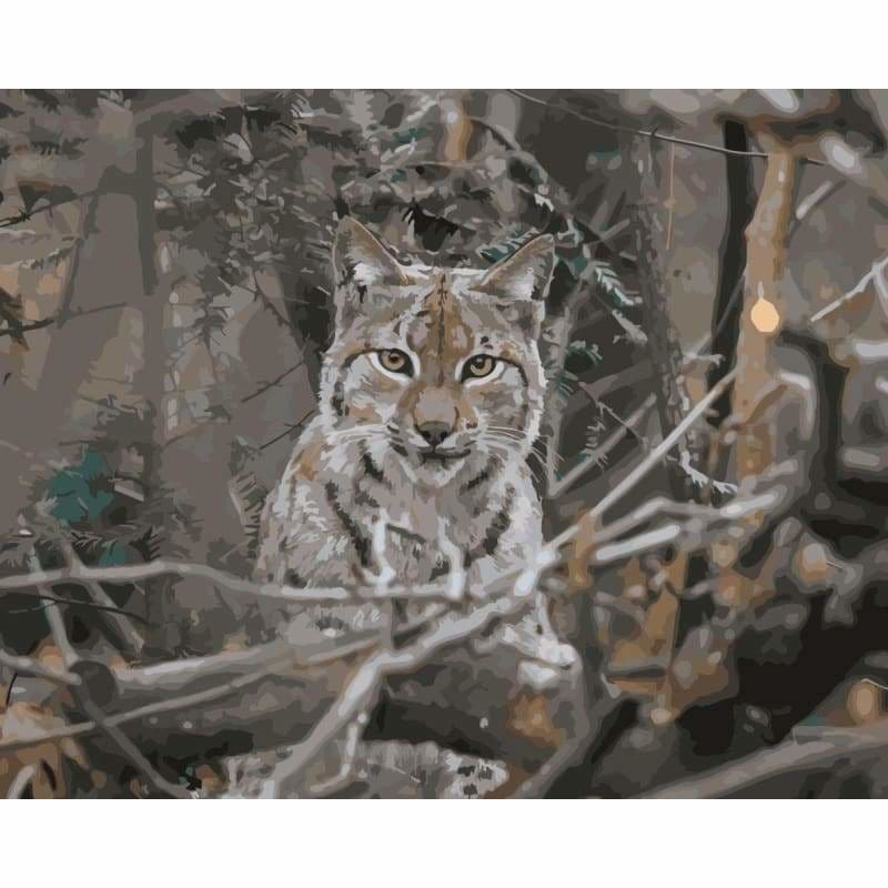 Leopard Diy Paint By Numbers Kits WM-1657 - NEEDLEWORK KITS