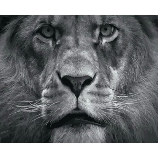 Lion Diy Paint By Numbers Kits VM95701 - NEEDLEWORK KITS