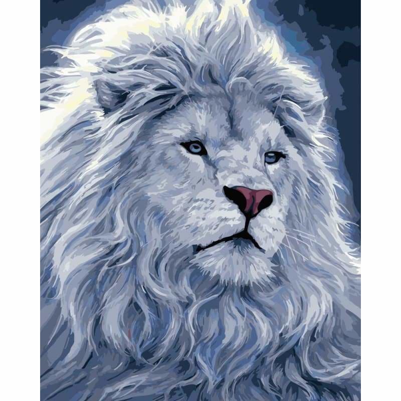Lion Diy Paint By Numbers Kits WM-1673 - NEEDLEWORK KITS