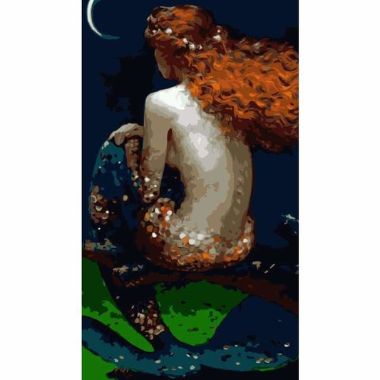 Mermaid Diy Paint By Numbers Kits WM-1746 - NEEDLEWORK KITS
